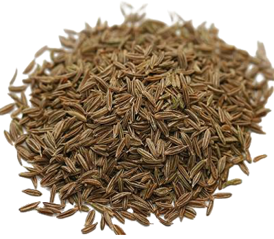 les grains du cumin