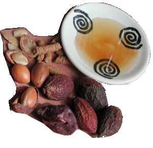 le fruit de l'Arganier